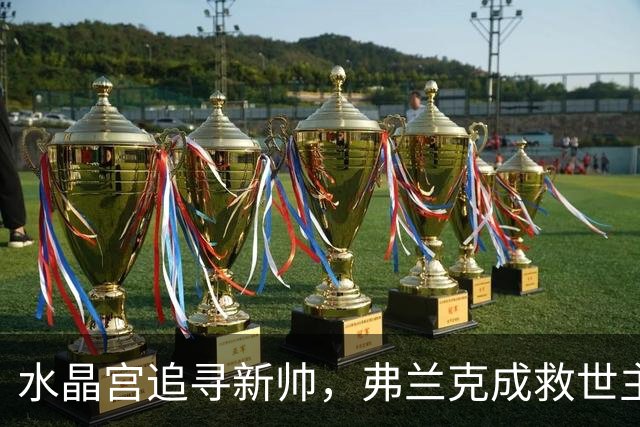 水晶宫追寻新帅，弗兰克成救世主的热门人选