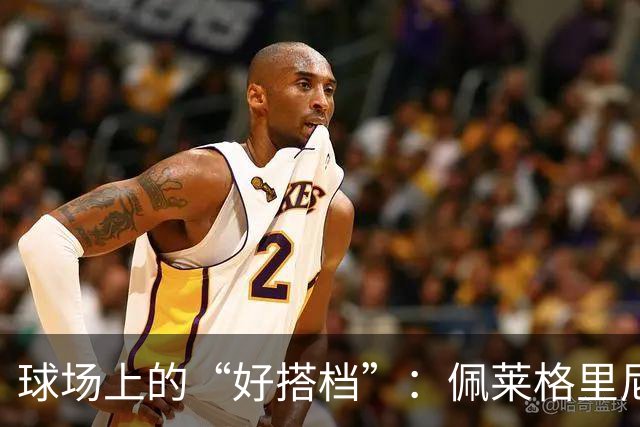 球场上的“好搭档”：佩莱格里尼谈战术奇遇记